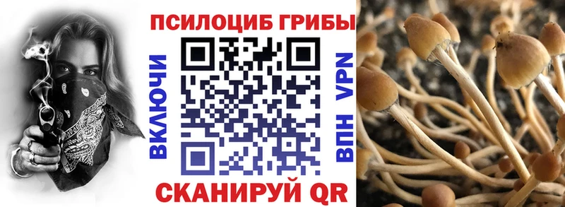 Галлюциногенные грибы Psilocybine cubensis Котельнич